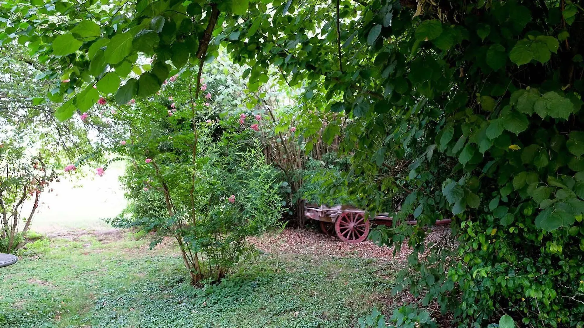 Il Prato Dei Conigli Bed and Breakfast Castelfranco Emilia