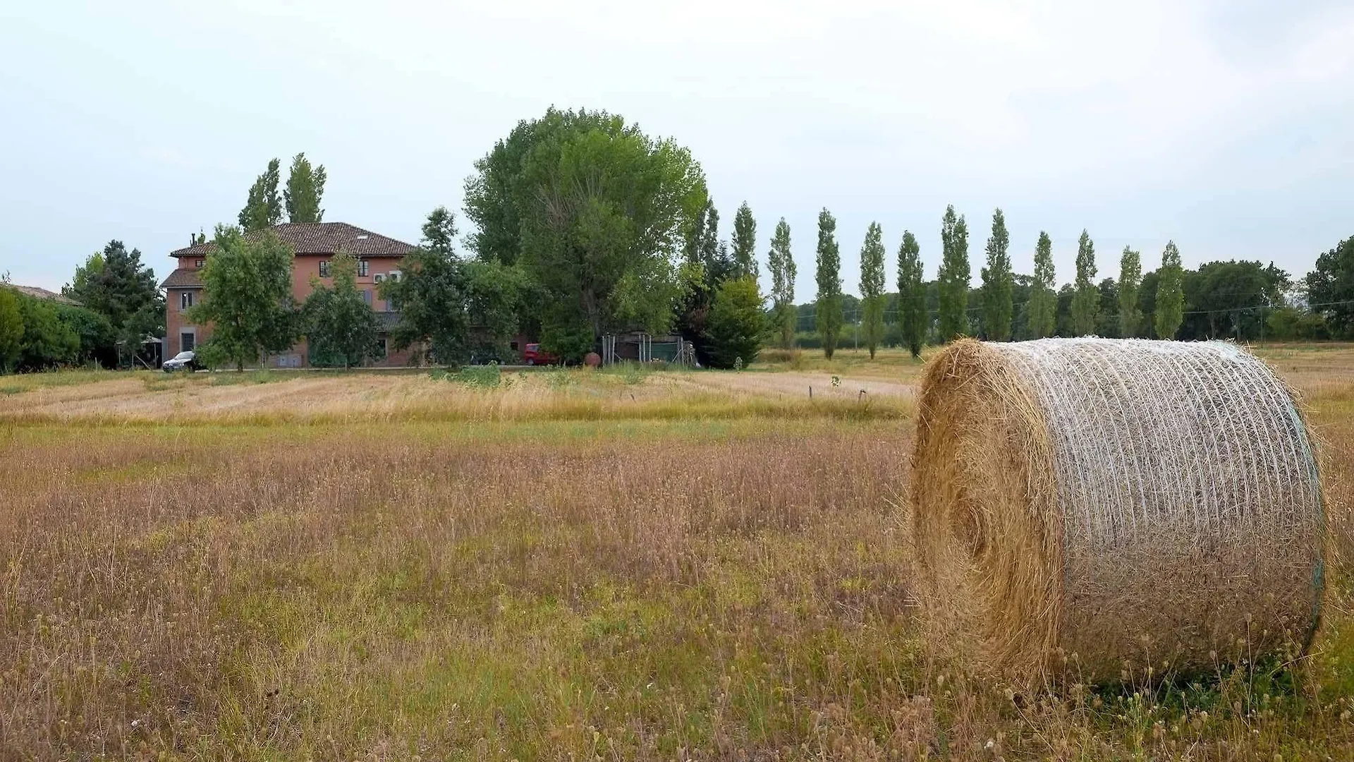 Il Prato Dei Conigli Bed and Breakfast Castelfranco Emilia Nocleg ze śniadaniem